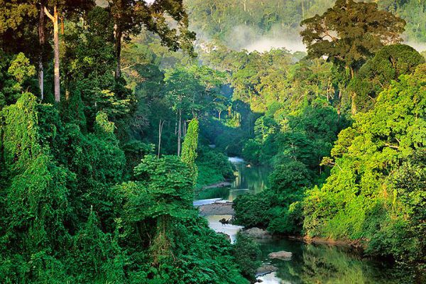 parc-national-corcovado