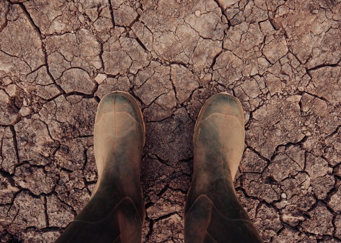 190923-climate-change-dust-bowl-soil-health-soil-organic-matter-2