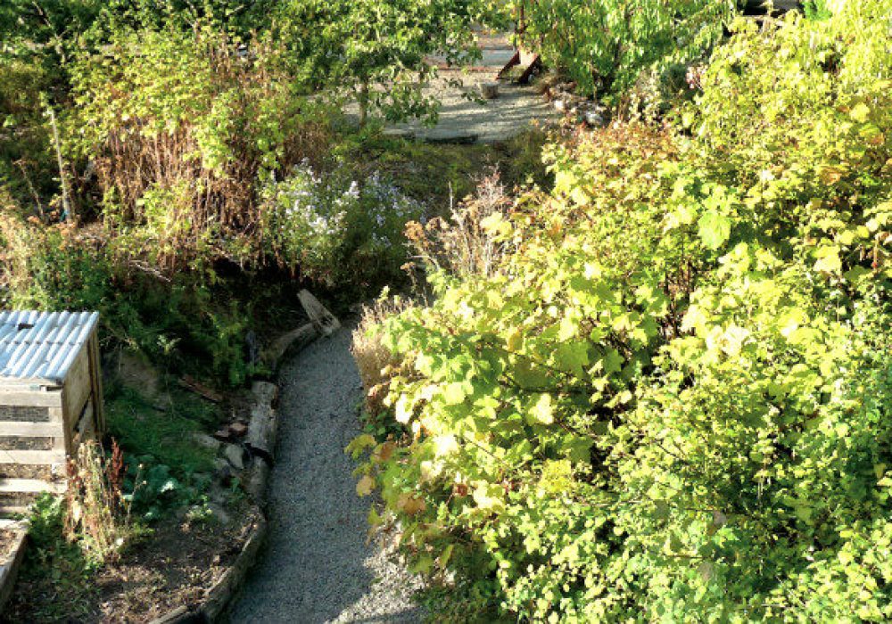 commfoodforest-banner-panorama